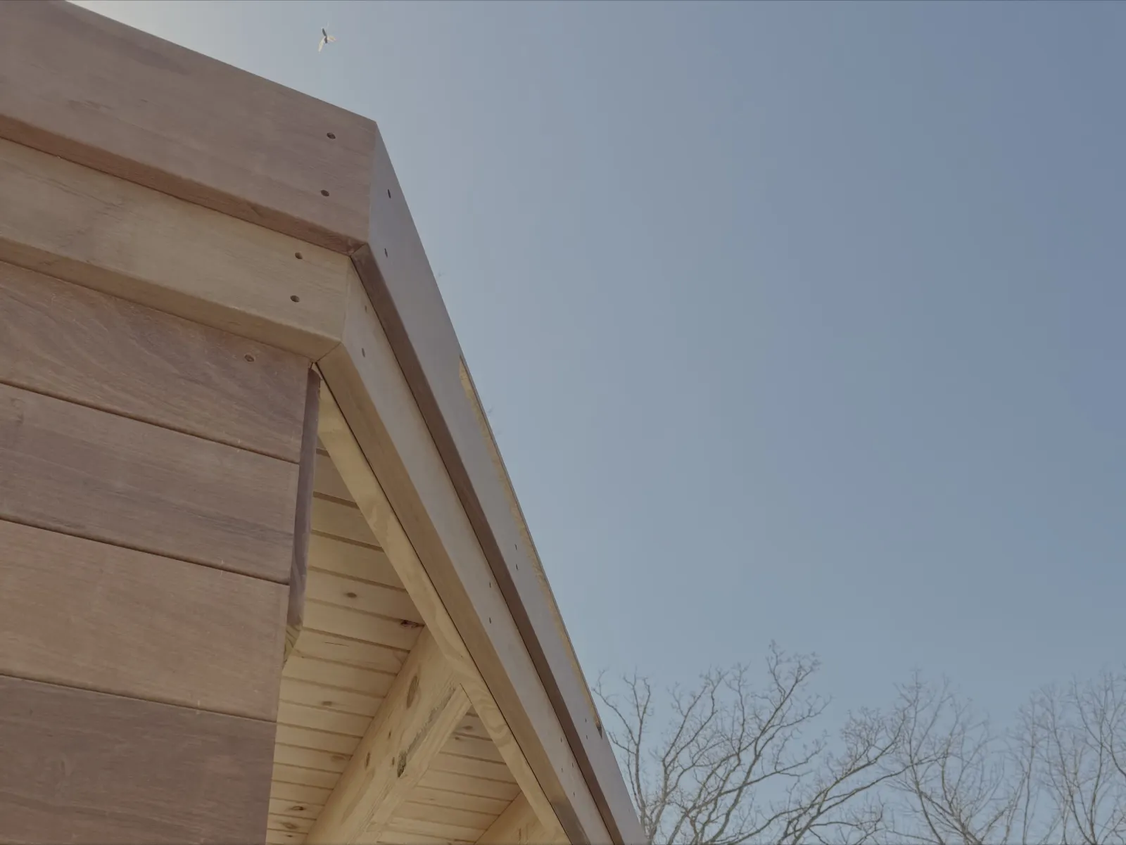 Outdoor Living project photograph
